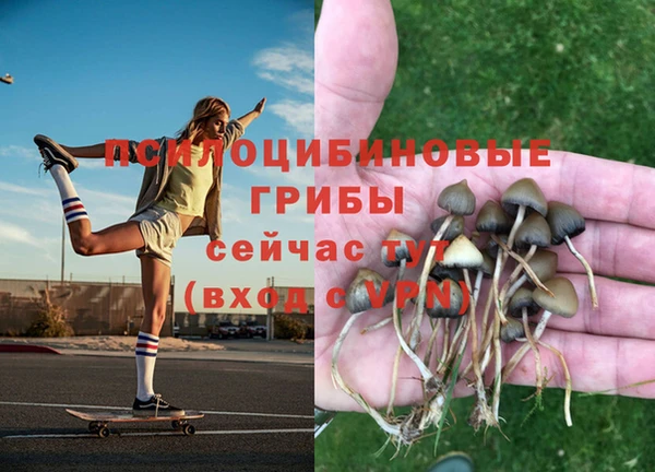 МДПВ Арсеньев