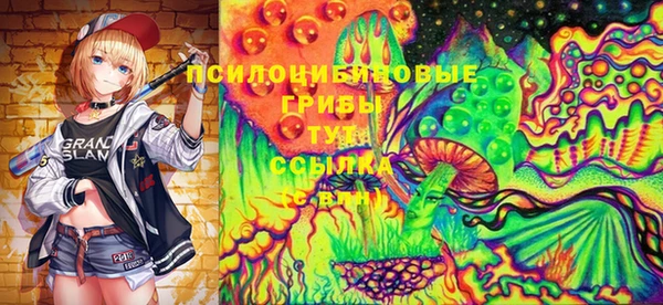 мдпв Армянск