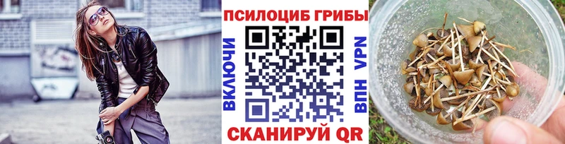 Галлюциногенные грибы Psilocybine cubensis  наркотики  Татарск 